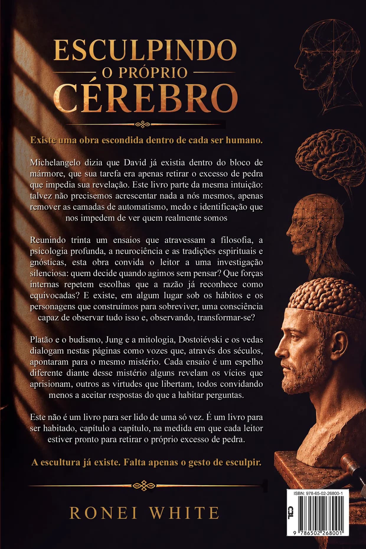 Contracapa do livro. Sob o título, a frase «Existe uma obra escondida dentro de cada ser humano» abre a sinopse: Michelangelo dizia que Davi já existia dentro do bloco de mármore e que sua tarefa era retirar o excesso de pedra, e o livro parte da mesma intuição, reunindo trinta e um ensaios que atravessam a filosofia, a psicologia profunda, a neurociência e as tradições espirituais. Ao pé, em dourado: «A escultura já existe. Falta apenas o gesto de esculpir.»